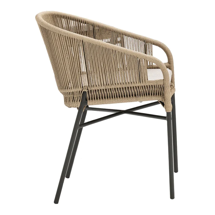 Cricket-dining-armchairs-2989_d74817ed-30ff-41a2-8f2f-6cc3a9666179_696x Cricket-dining-armchairs-2989_d74817ed-30ff-41a2-8f2f-6cc3a9666179_696x